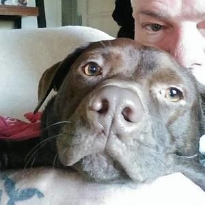 Meet your Posher, Paul